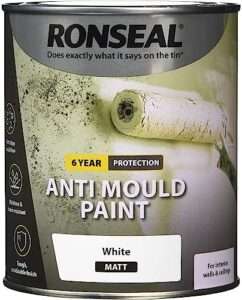 Ronseal Anti Mold Paint